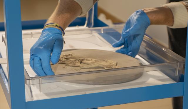 Image of V&A team unpacking from the Wedgwood archives